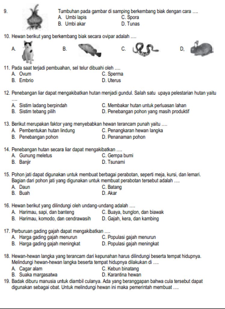 5 Rahasia Nilai Sempurna Latihan Soal IPA Kelas 6 Semester 1 2021 yang Wajib Diketahui Siswa